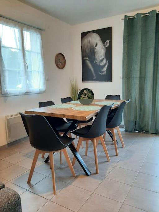 Appartement Proche Aeroport A Pied O' Jungle à Tillé Extérieur photo